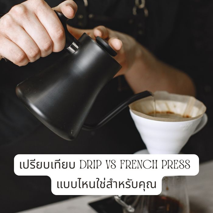 เปรียบเทียบ Drip vs French Press แบบไหนใช่สำหรับคุณ